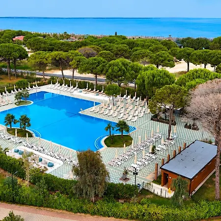 Olive Bay Near Melia