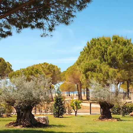 Appartamento Olive Bay Near Melia *